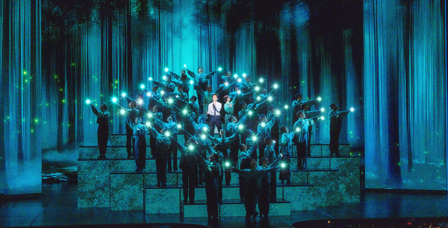 2019 Spring Festival Gala Faye Wong__Spring Festival Gala Faye Wong