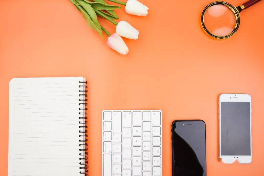 Major selection skills_Finance University employment rate ranking_College Entrance Examination application form