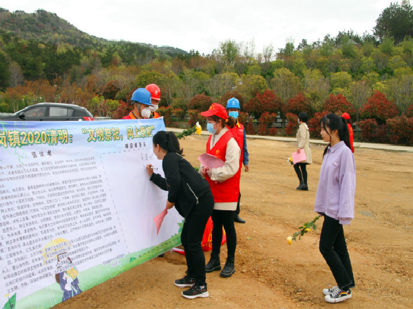 Chinese Civilization Network Flowers_Civilized Sacrifice Green Qingming