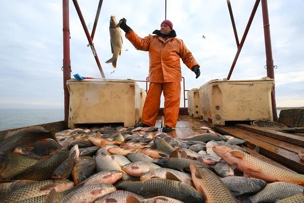 Russian Fishery And Other Companies Request To Retain Export Freight Subsidies, Which Is Related To Supply To The Chinese Market-Lijin Finance