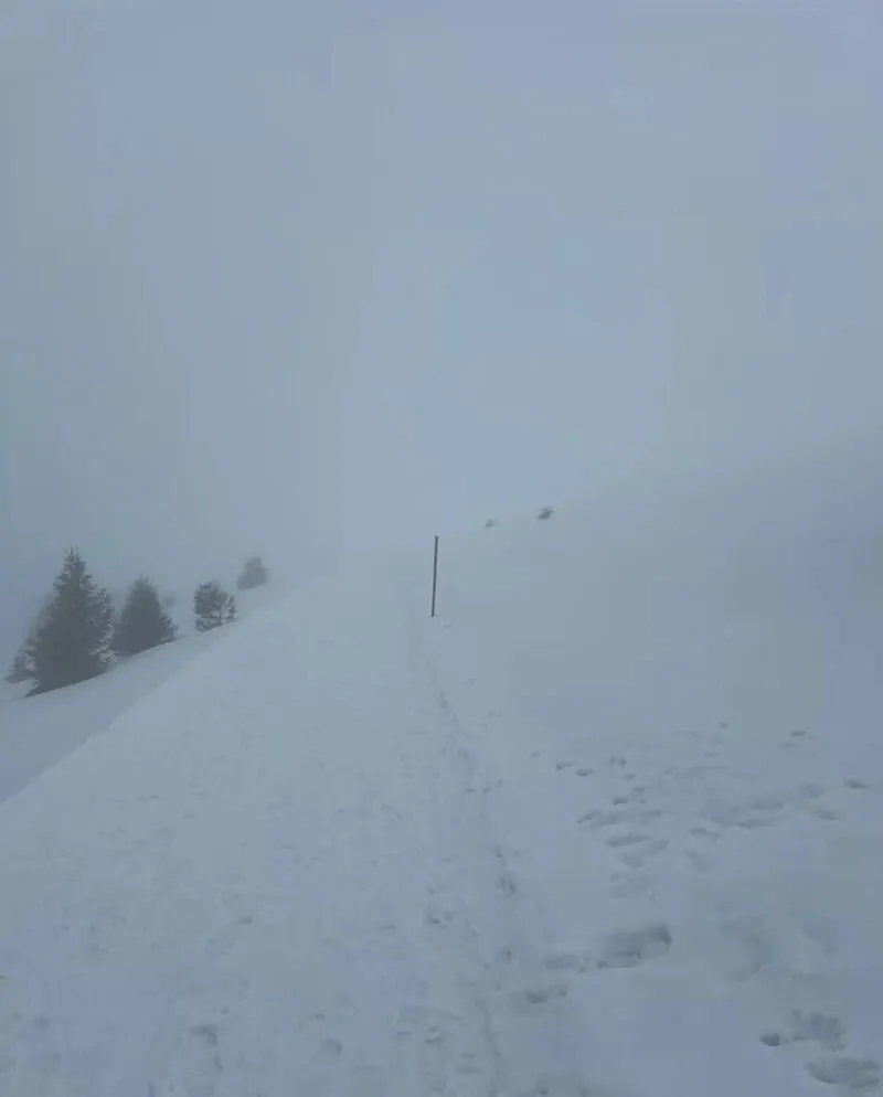 _Harold in Italy video_The doctor went home and lost contact