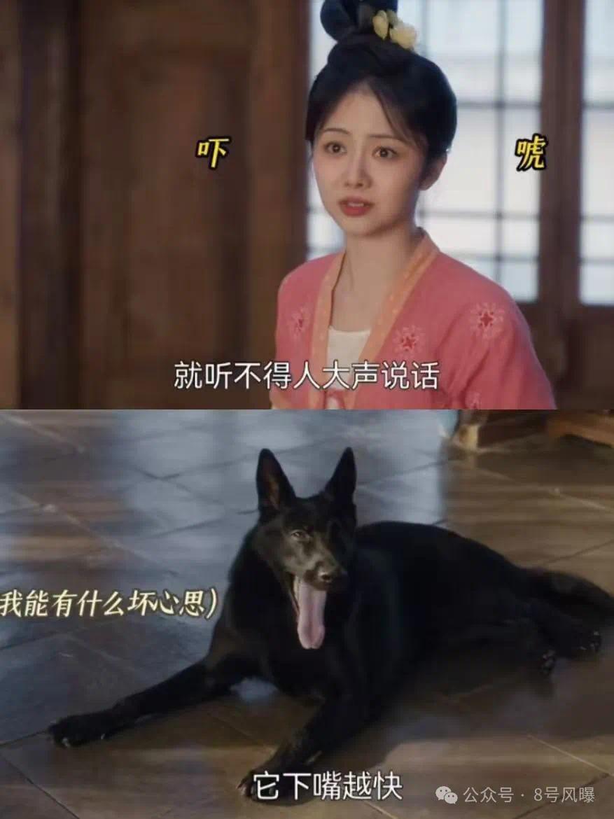 _90 flowers that cannot be supported? A year of collective defeat..._90 flowers that cannot be supported? A year of collective defeat...