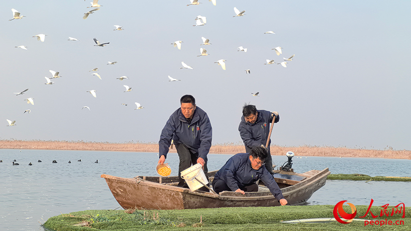 Hengshui Lake: The Spring Festival Is Approaching, And Bird-loving And Bird-protecting Volunteers Prepare Special New Year Goods For Migratory Birds-Lijin Finance