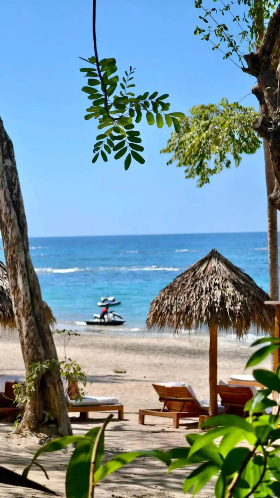 The white-style holiday for Chinese people during the Spring Festival is so delicious? __Chinese people take a white-style holiday during the Spring Festival. Is it so delicious?