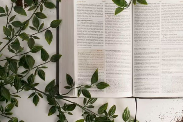 Shenzhen Parents Come Here! Professional Children's Cambridge English Training Institution Chooses This Way-Lijin Finance