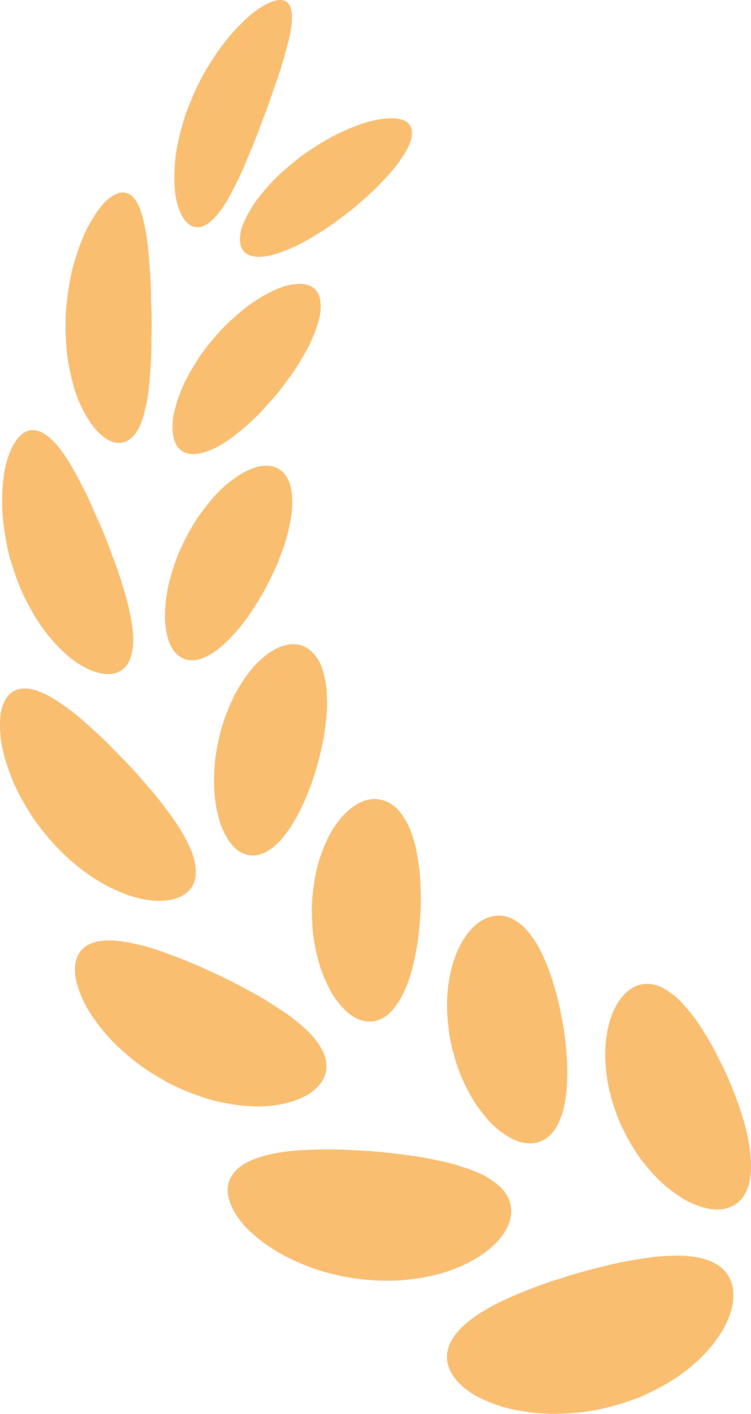 Zhejiang University of Finance and Economics Yingyang College of Finance and Economics_Zhejiang University of Finance and Economics College of Finance_Zhejiang University of Finance and Economics Yingyang College of Finance and Economics