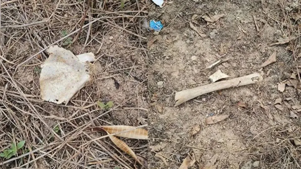 _Thailand and Laos is a country_The latest news about the epidemic in Thailand and Laos