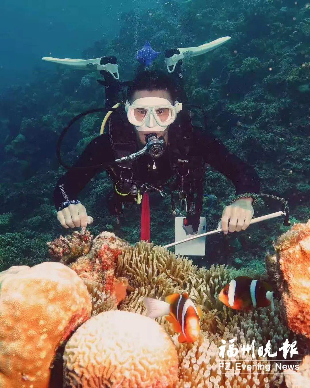 The highest level of diving instructor __ Diving instructor income