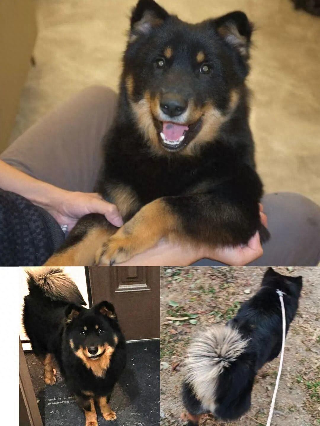 Lost old man in Dalian_Has the lost boy in Dalian been found?