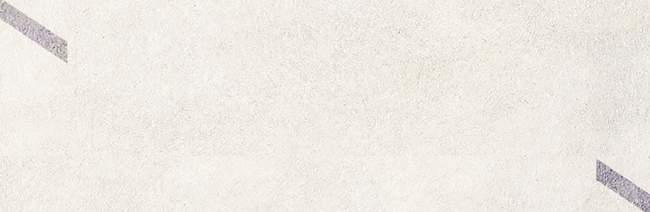 Business observation documentary Torrent Times Li Xiang_Financial reporter Li Xiang