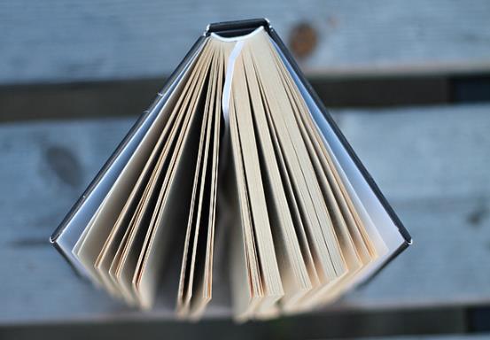 What Are The Junior College Majors At Henan University Of Finance And Economics In 2023? Here Is A Detailed Explanation-Lijin Finance