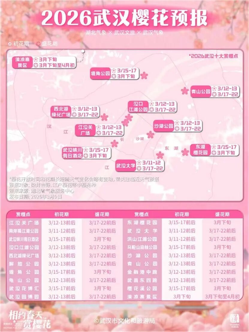 How long is the flowering period of Wuhan cherry blossoms_The reason why the flowering period of Wuhan cherry blossoms is early