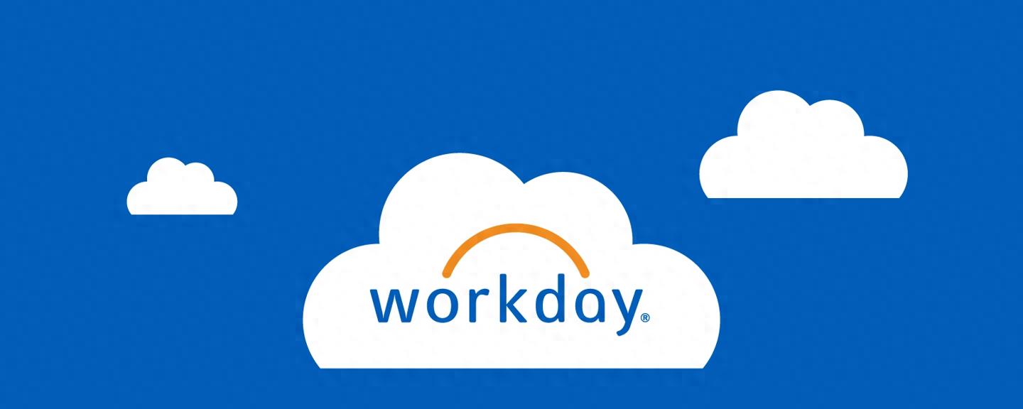 Workday CEO Aneel Bhusri Artificial intelligence companies use Workday system_Workday stock price plummeted 40% Analyst conference call_Open BI AN