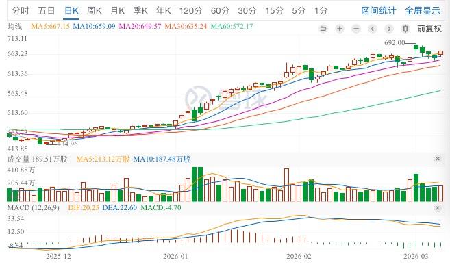 Cruel illusion, bloody panic __ Cruel illusion, bloody panic