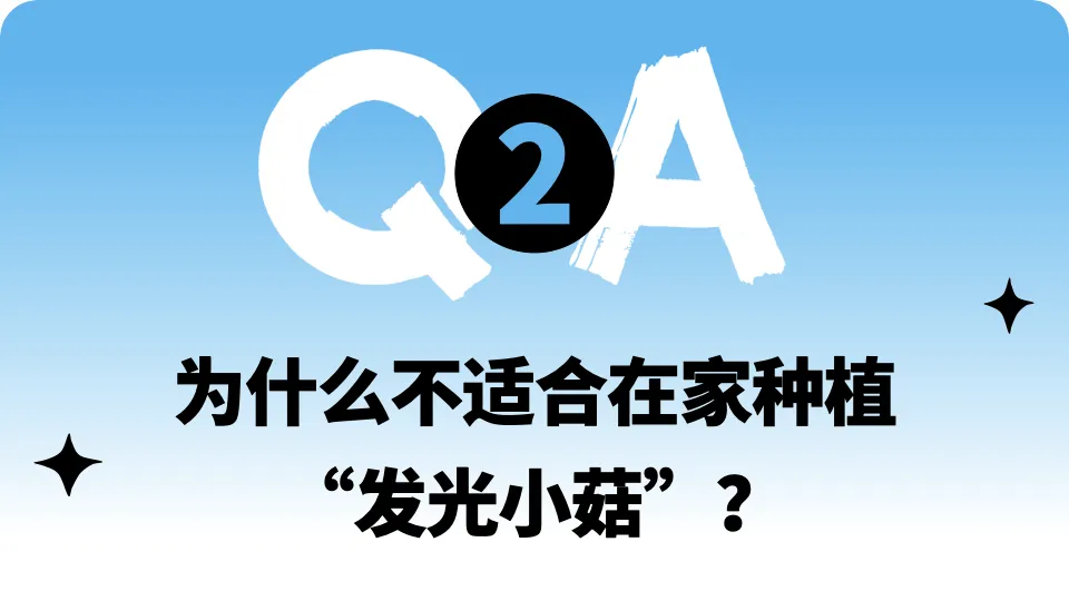 A steel pipe weighing tens of tons rushed out of the ground in Osaka and soared to a height of four stories. No one saw the process. A steel pipe weighing tens of tons rushed out of the ground in Osaka and soared to a height of four stories. No one saw the process. A steel pipe weighing tens of tons rushed out of the ground in Osaka and soared to a height of four stories. No one saw the process. A steel pipe weighing dozens of tons in the underground of Osaka shot out of the ground and soared to a height of four stories. No one saw the process. A steel pipe weighing tens of tons rushed out of the ground in Osaka and soared to a height of four stories. No one saw the process. A steel pipe weighing tens of tons rushed out of the ground in Osaka and soared to a height of four stories. No one saw the process. A steel pipe weighing tens of tons rushed out of the ground in Osaka and soared to a height of four stories. No one saw the process. A steel pipe weighing dozens of tons in the underground of Osaka shot out of the ground and soared to a height of four stories. No one saw the process.