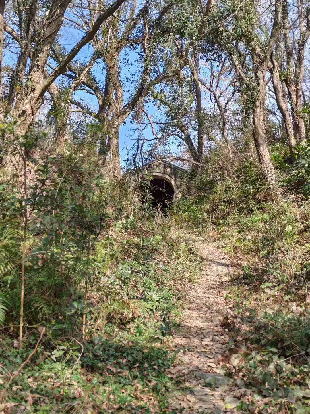 _Shicha: The temperature of a bowl of tea - Exploring the Chinese tea culture in ancient inscriptions_Shicha: The temperature of a bowl of tea - Exploring the Chinese tea culture in ancient inscriptions