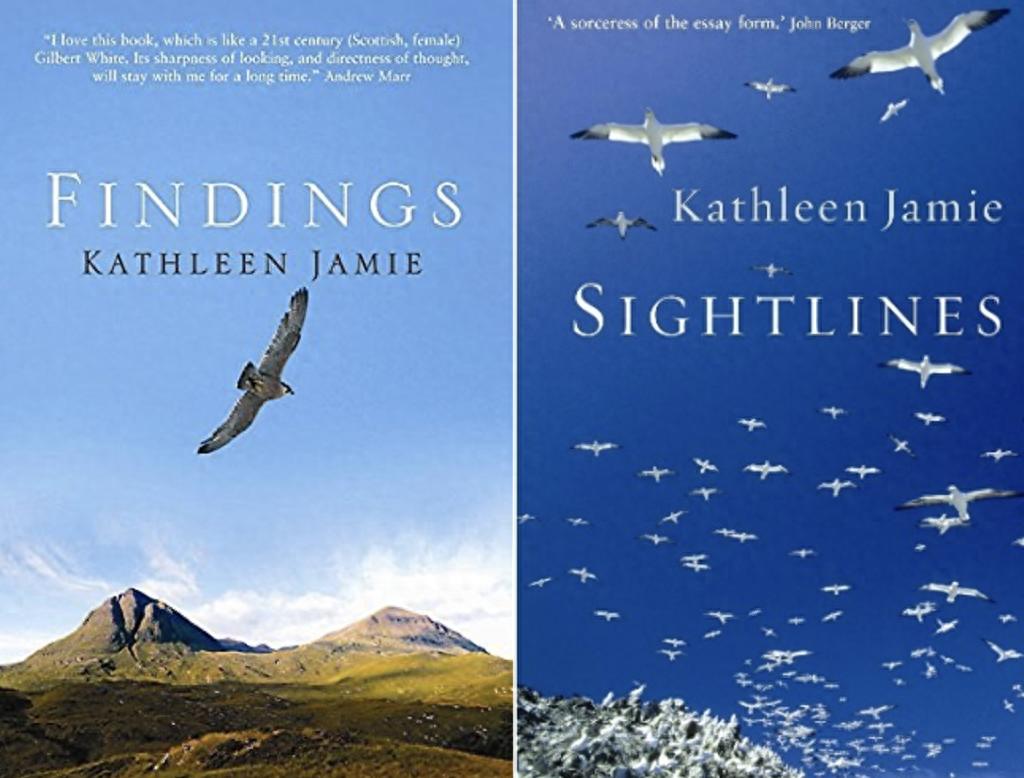 Scots language __ Scots dictionary