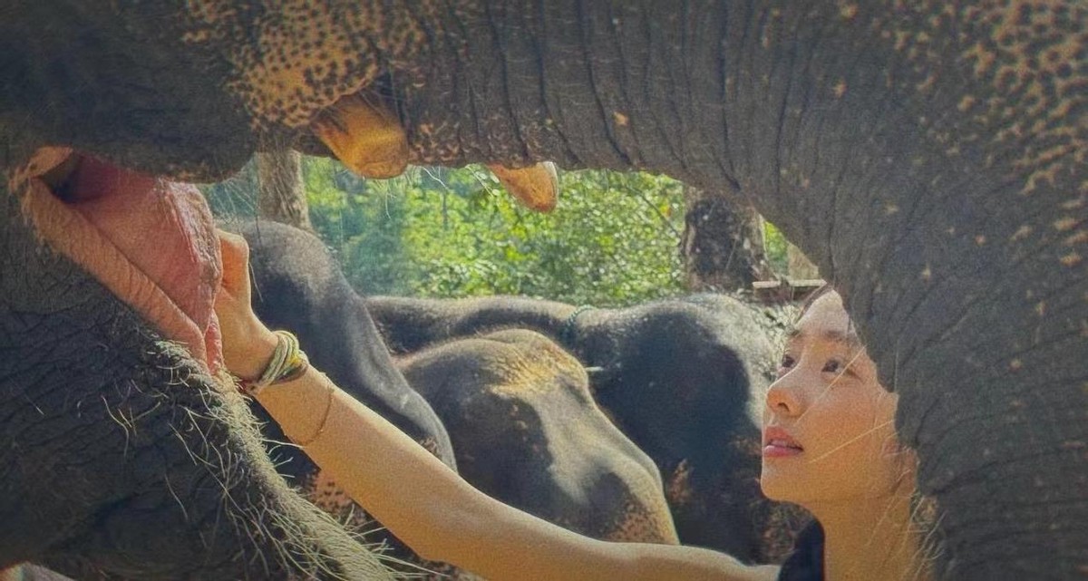 The inheritance is really good. The 18-year-old Huang Duoduo is dressed up and mature, and like her mother, she has been together for the rest of her life. The inheritance is really good. The 18-year-old Huang Duoduo has been dressed up and mature, and she has been separated for the rest of her life, just like her mother.