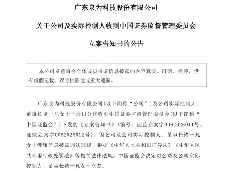 立案董事长后多久开庭__董事长刑事案件对公司的影响