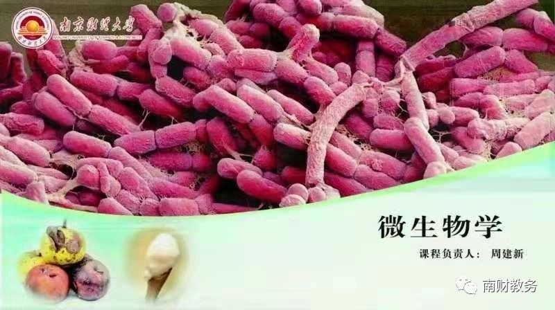 南京财经大学爱课堂中国大学MOOC精品在线开放课程_南京财经大学金融学_国家精品在线开放课程