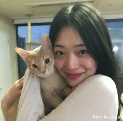 崔雪莉现在在哪个公司_崔雪莉 尸检结果_崔雪莉 失踪事件