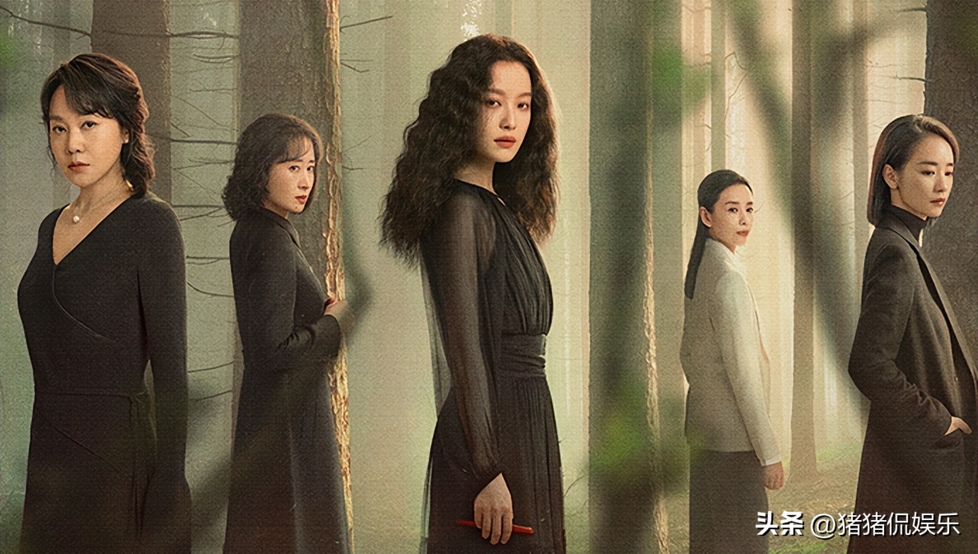 看剧清单__看是电视剧