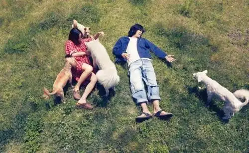 雪莉悲剧 韩娱圈 财阀体制_崔雪莉现在在哪个公司