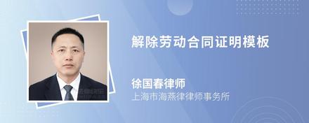 公司开具收入证明员工辞职责任_公司开具收入证明员工贷款问题_离职人员收入证明模板