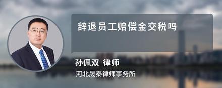 离职人员收入证明模板_公司开具收入证明员工贷款问题_公司开具收入证明员工辞职责任
