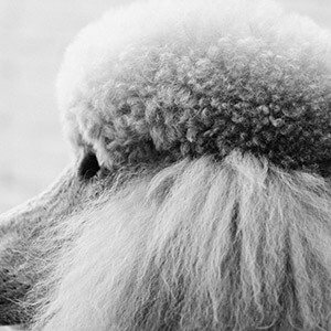 解除劳动合同证明 离职证明范本 公司开具离职证明条件_离职人员收入证明模板