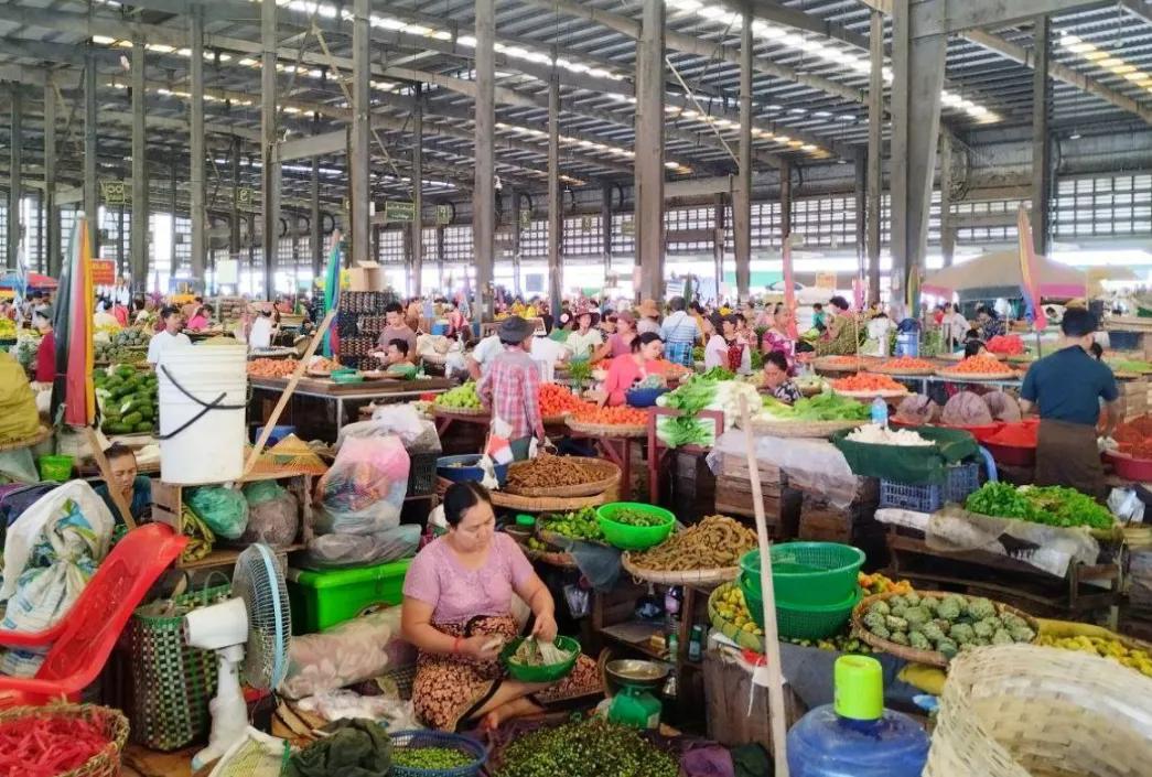 缅甸国家央行外币交易情况_oe trading platform_缅甸央行出售美元人民币泰铢