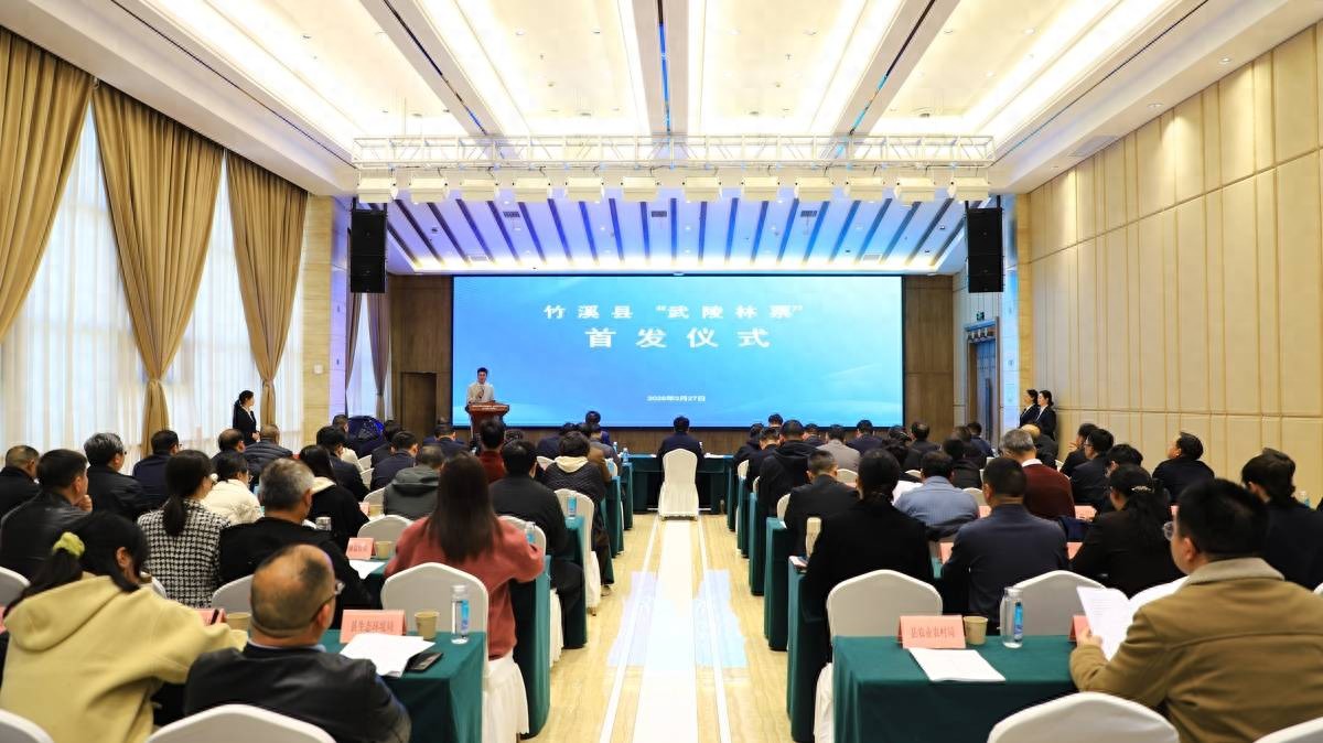 _湖北首单林票变现200万元_湖北首单林票变现200万元