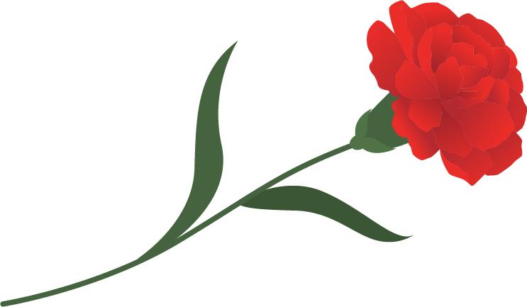 精彩校园活动_校园新鲜事_优秀校园新闻稿范文