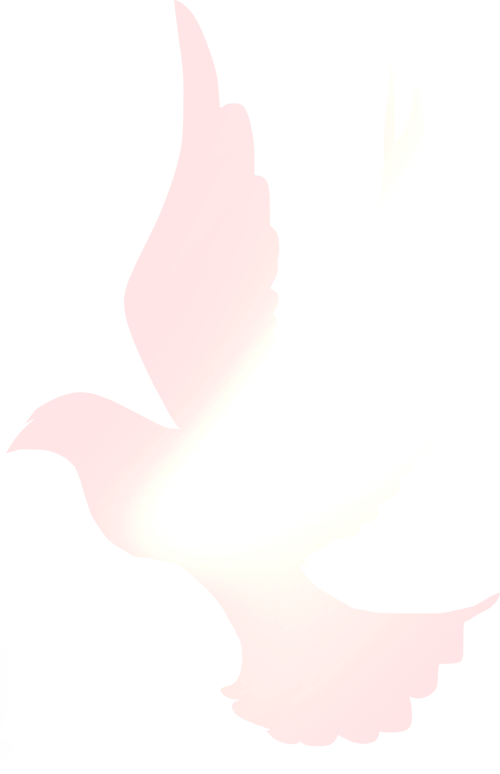 新闻联播播音员名单_《新闻联播》历史主播_李娟赵忠祥邢质斌罗京李瑞英海霞