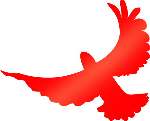 《新闻联播》历史主播_李娟赵忠祥邢质斌罗京李瑞英海霞_新闻联播播音员名单