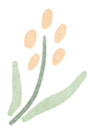 安徽财经大学浴室服务时间_安徽财经大学寝室图片_安徽财经大学食堂分布