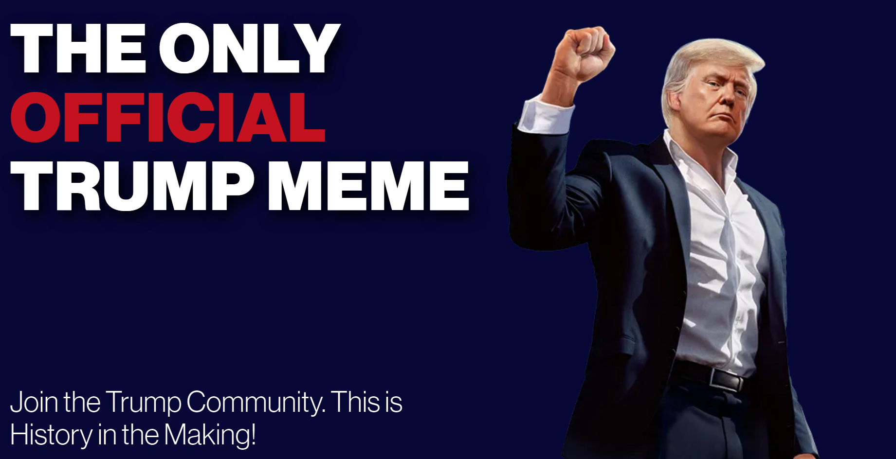 梅拉尼娅币_特朗普币_What is Musk Dogecoin