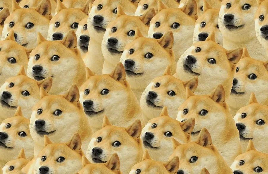 What is Musk Dogecoin_加密货币狗狗币价格走势_狗狗币市值超越欧美银行