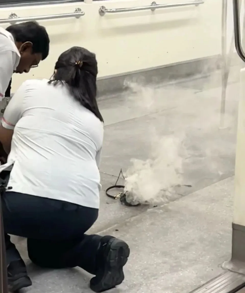 新加坡航空停飞__新加坡航班停飞