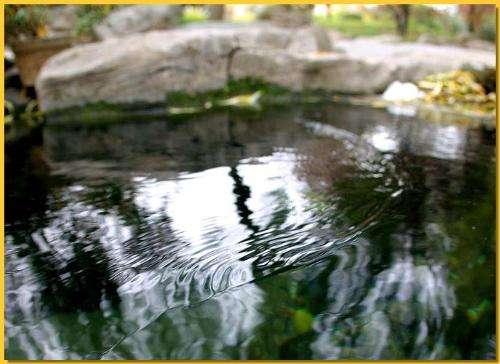 济南金线泉_金线泉的介绍_老金线泉历史