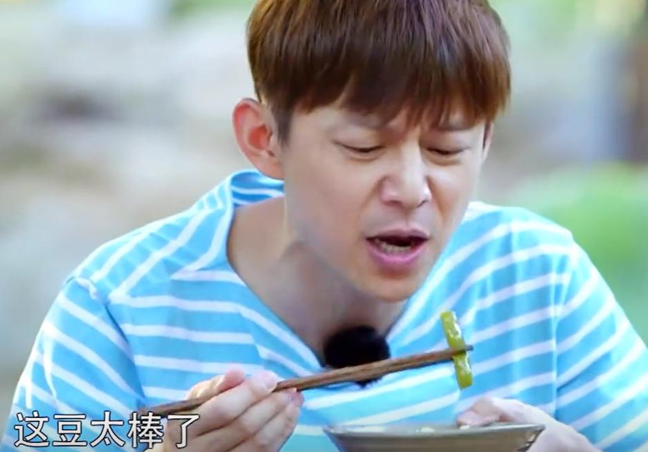 谁醉酒搂抱过黄磊_吴磊吴京是哪部电影_